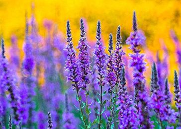 《战神》新作目前计划在2022年夏季发售