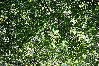 白金表示他们可能在明年的E3上展示Project GG