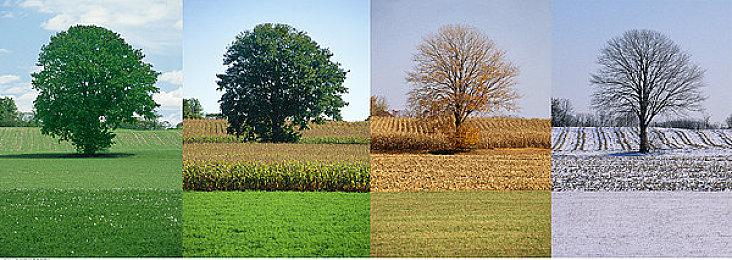 纸牌游戏《LogiKing》8月24日登陆PS4 测试逻辑能力