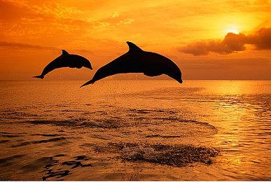 机械制作模拟《Plasma》steam抢测 从机器人到街机制作